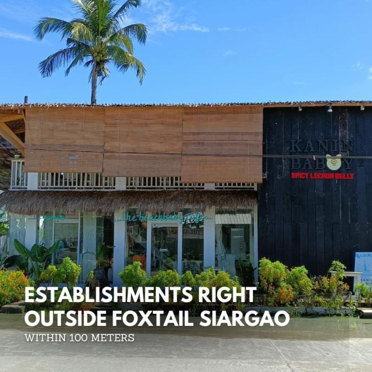 Foxtail Siargao Island Guesthouse