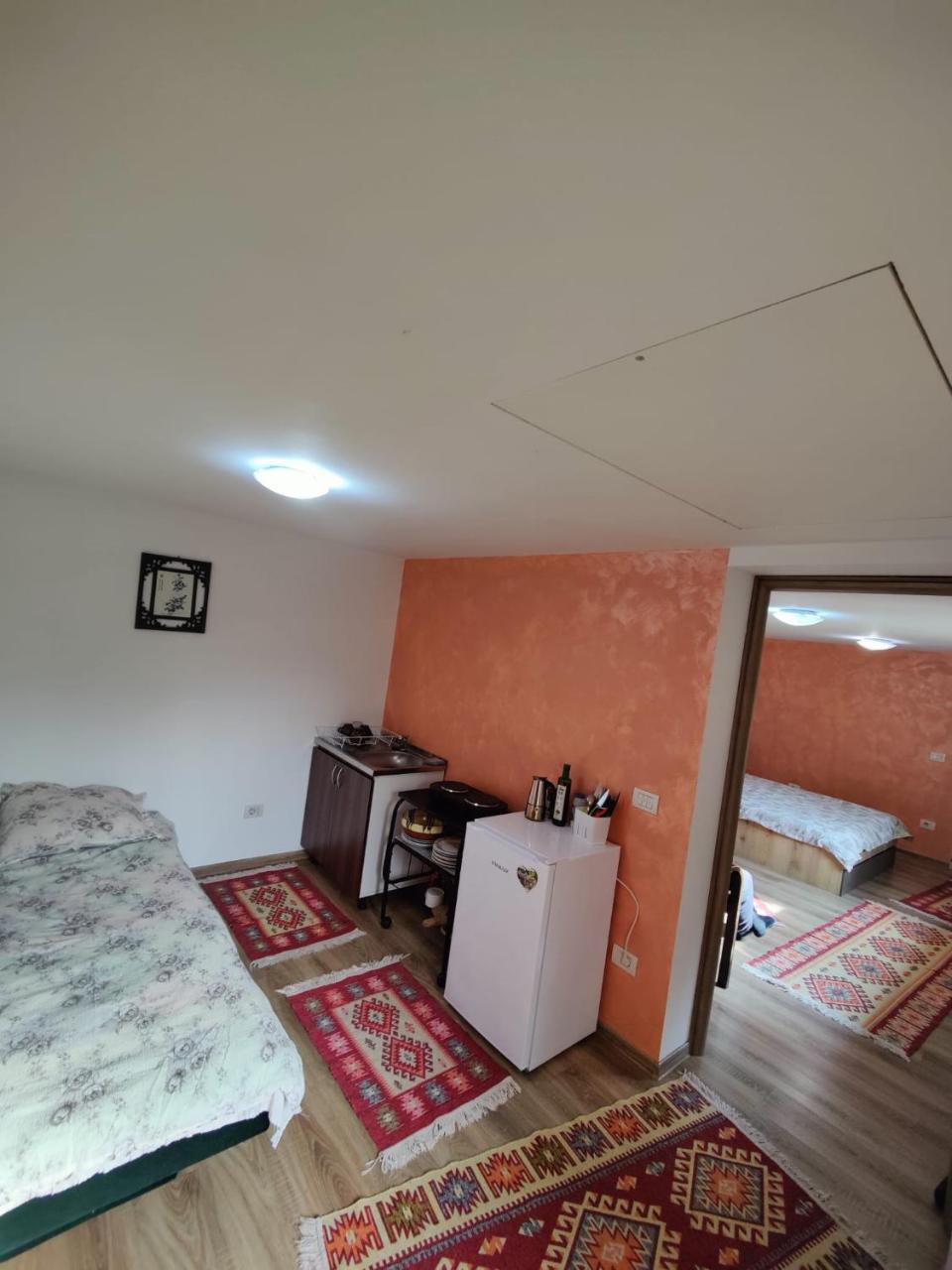 Pensiunea Rustic