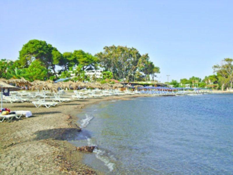 Hotel Palm Beach (adults Only)