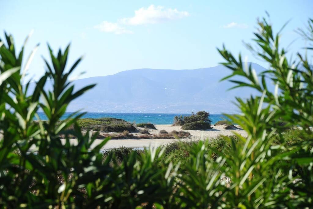 Glyfada View Studios 3 *