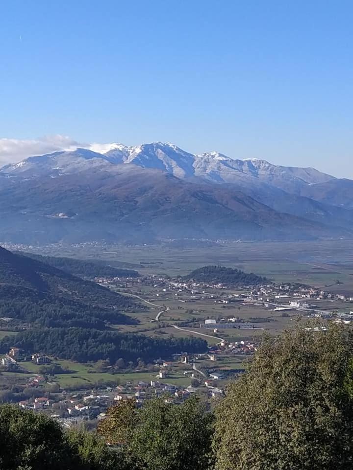 Hotel Philoxenia 3 * - pic #16