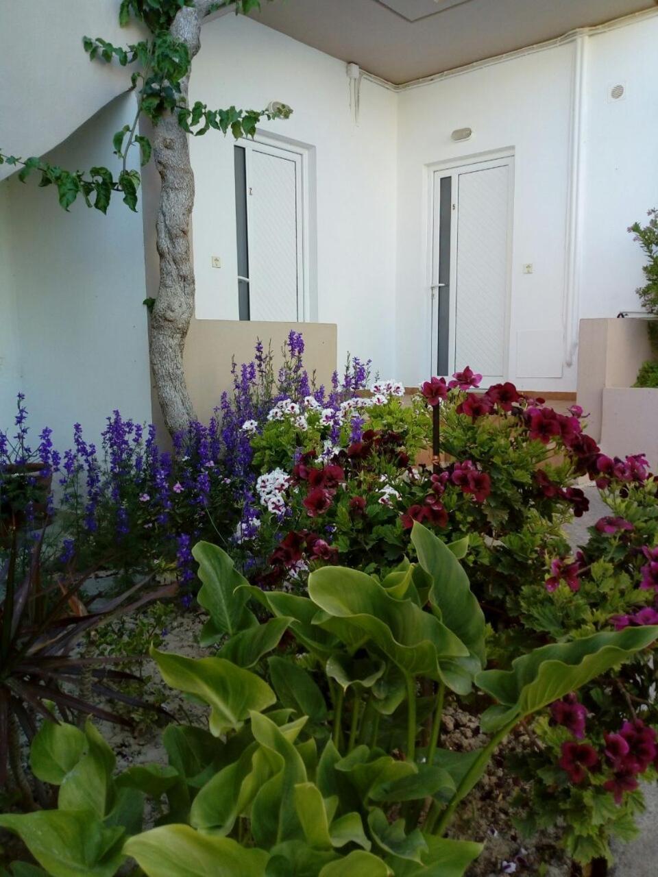 Yannis Apartments 