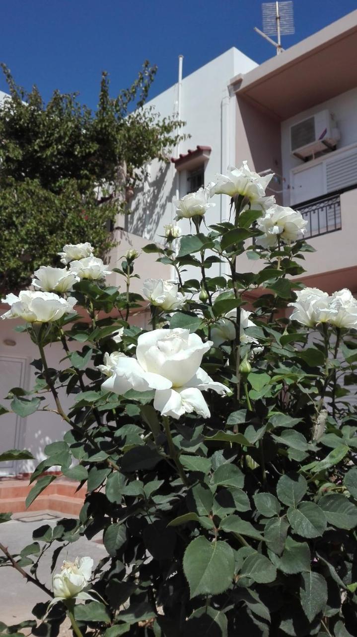 Yannis Apartments 