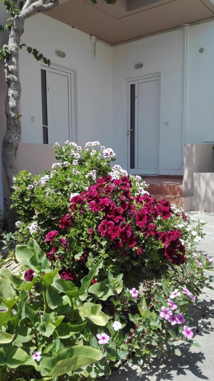 Yannis Apartments 