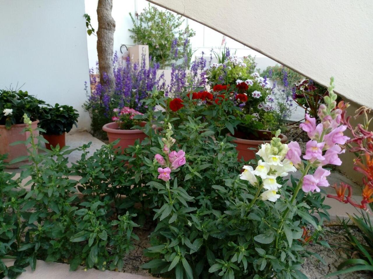Yannis Apartments 