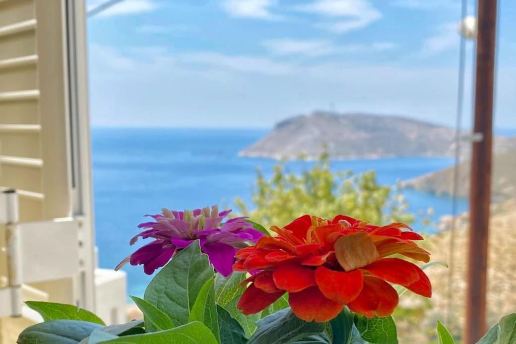 Poppy's House in Kalymnos-island