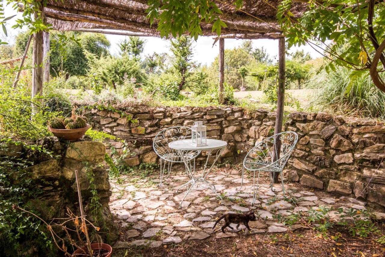 Lavanda em Montieri