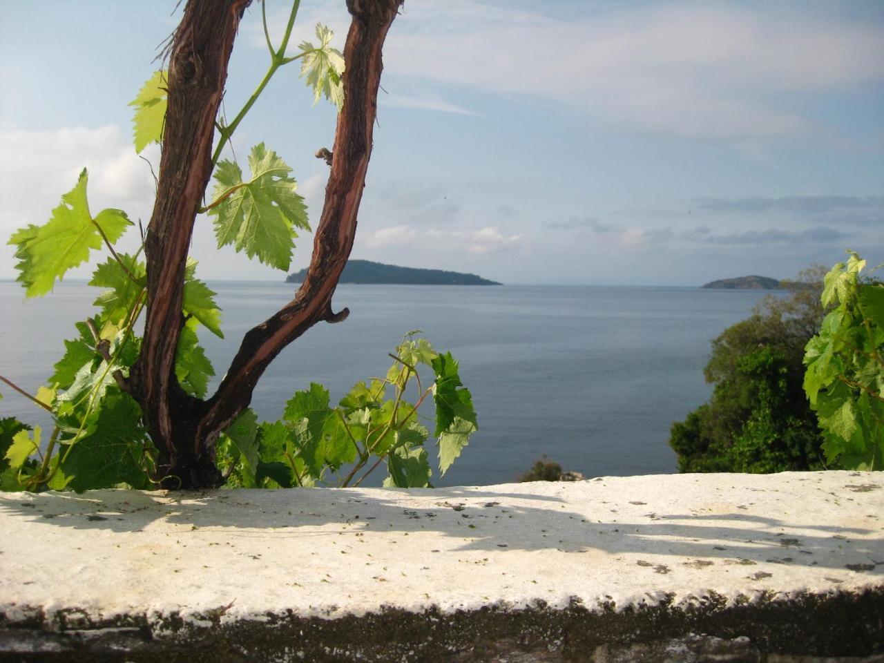 Villa Orsa 2 * - pic #9