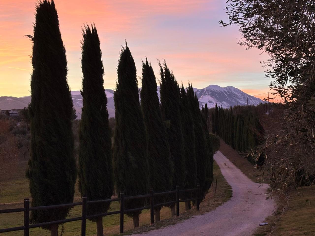 Agriturismo la Masseria - la Casa Tra Gli Alberi em Alanno