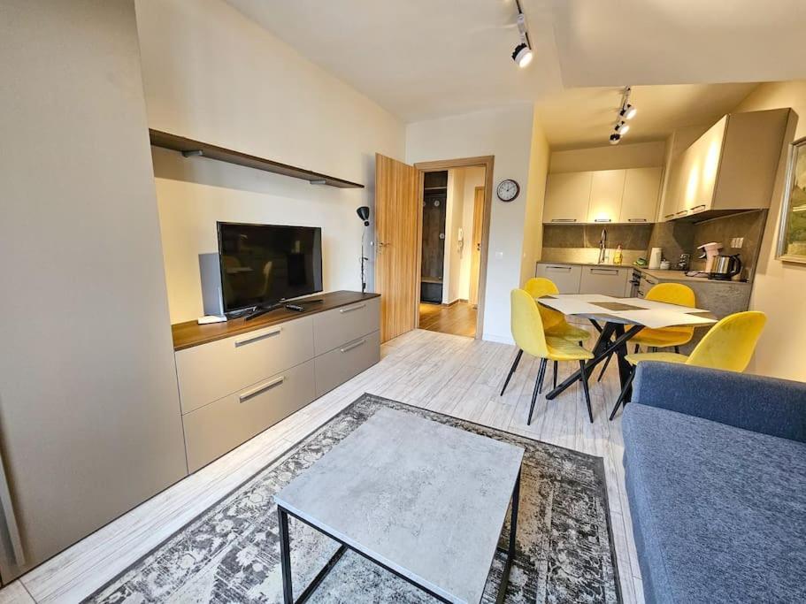 Modern Borovets Apartment A61