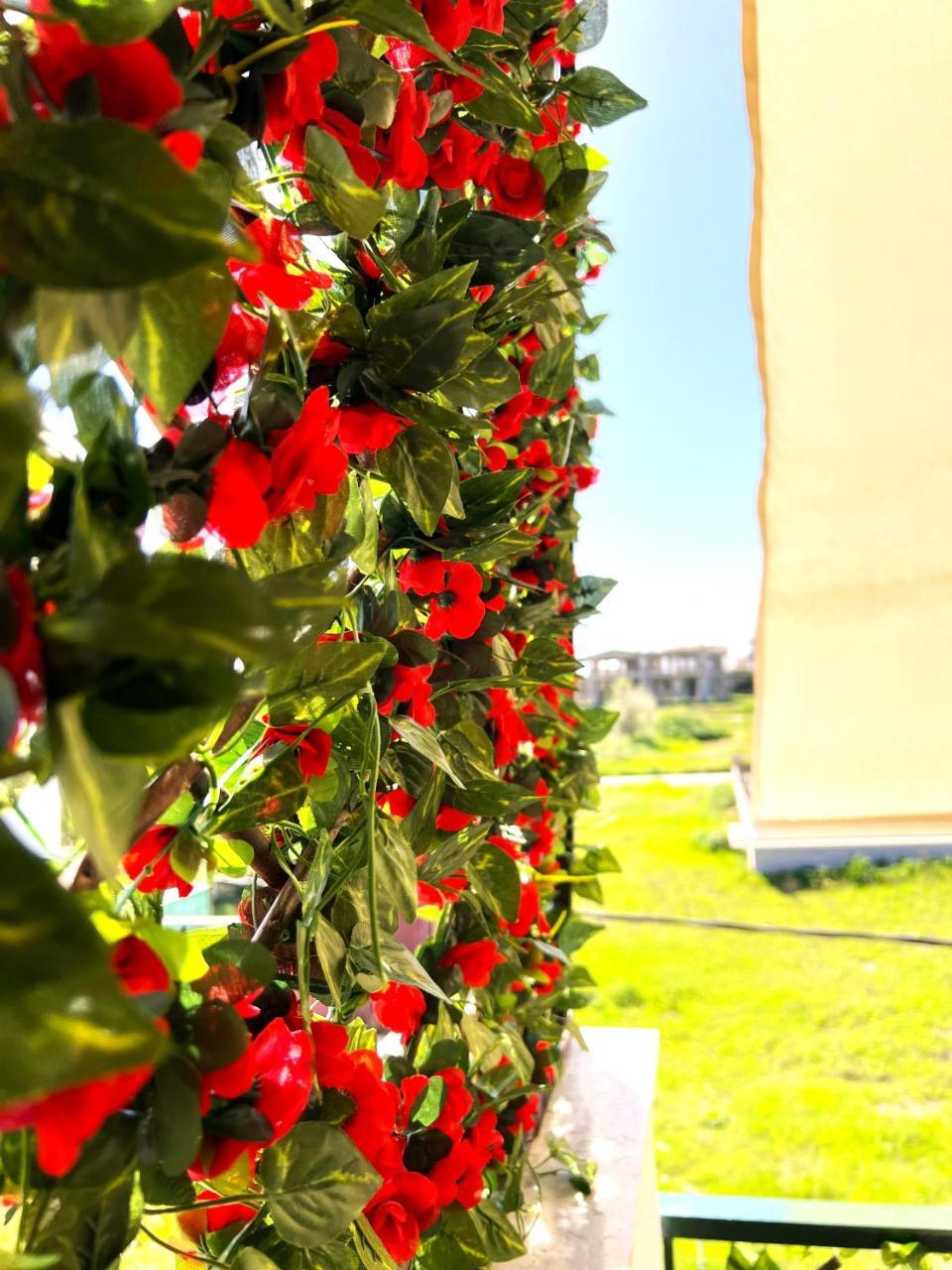 Seaside Apartment Aliki