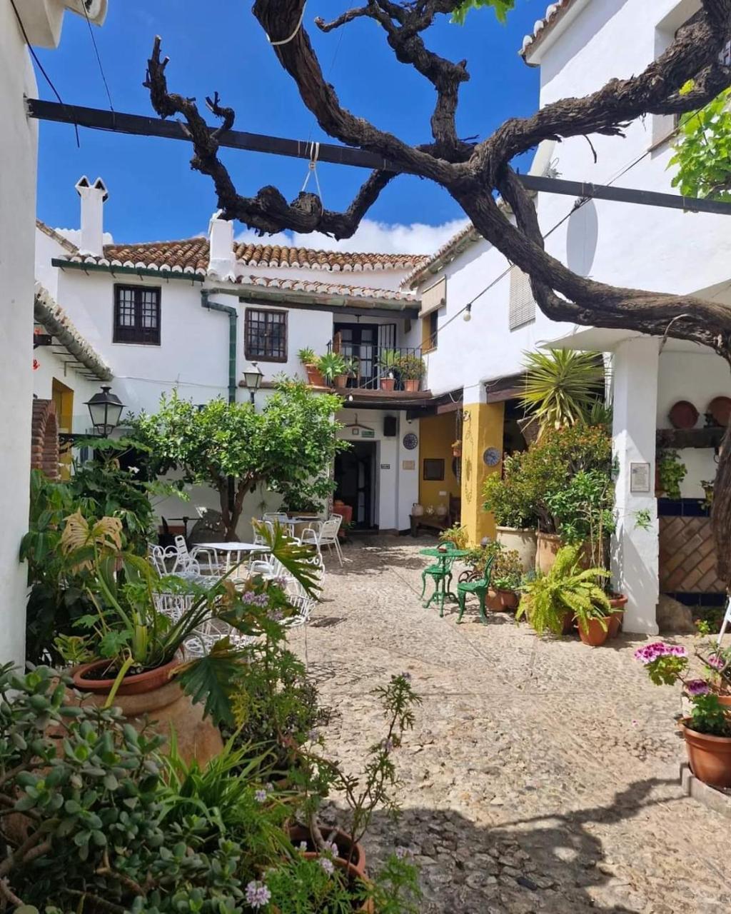 Hotel Rural Verde Oliva em Comares