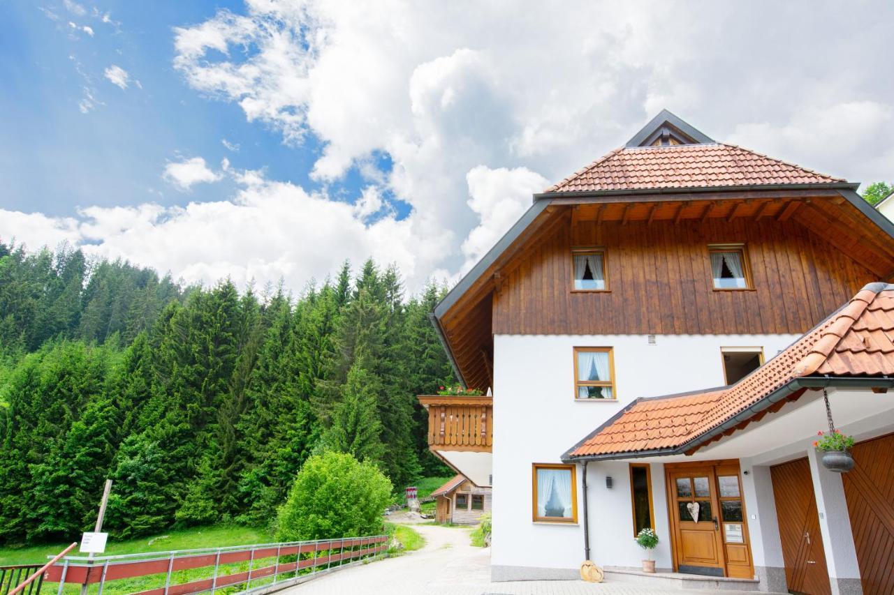 Ferienwohnung Birgit em Schonach-im-schwarzwald