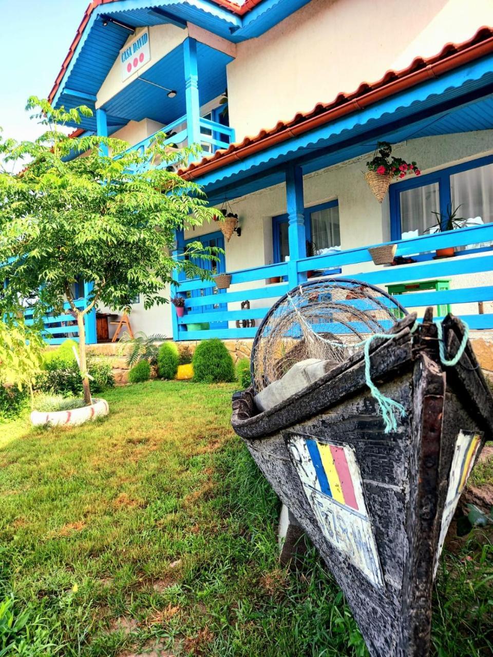 Casa David