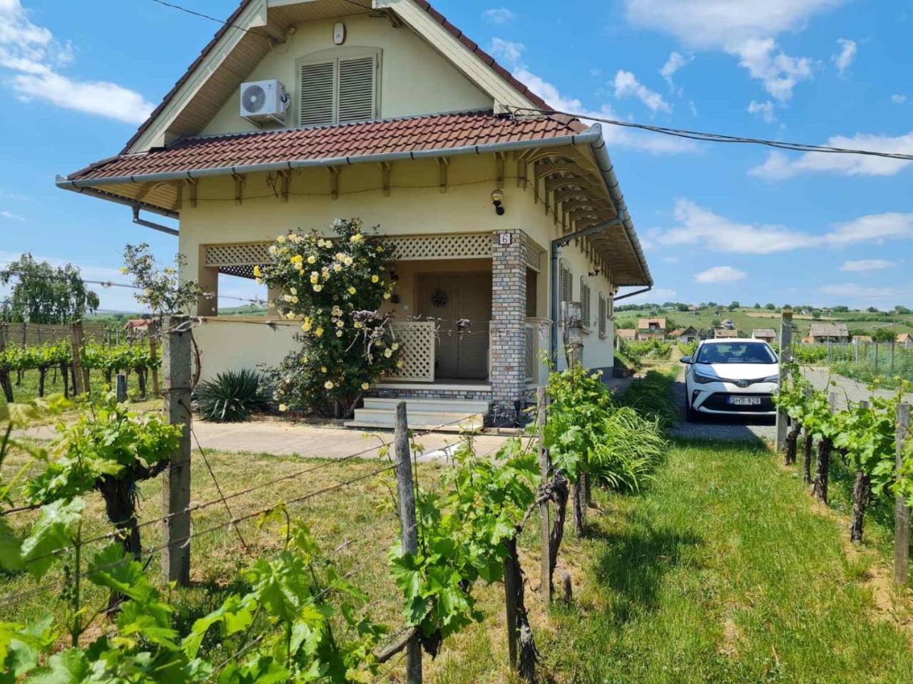 Lugas Apartman (Adults Only) em Villany