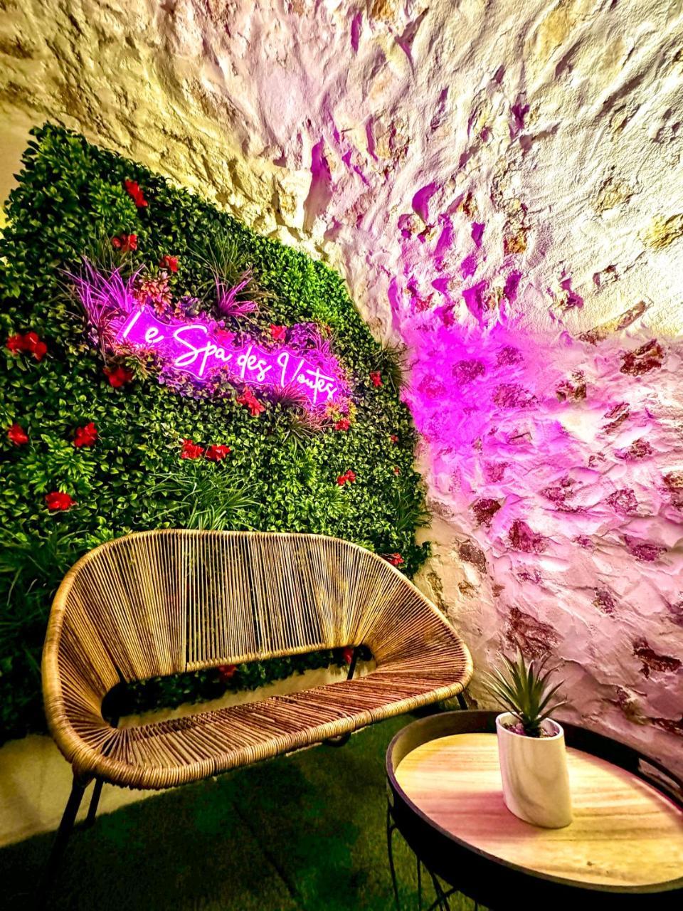 Logement Entier Le SPA Des Voutes Jacuzzi Cinema (Adults Only) à Saint-maximin-la-sainte-baume