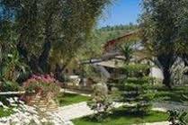 Hotel Mikros Paradisos 3 * - pic #7