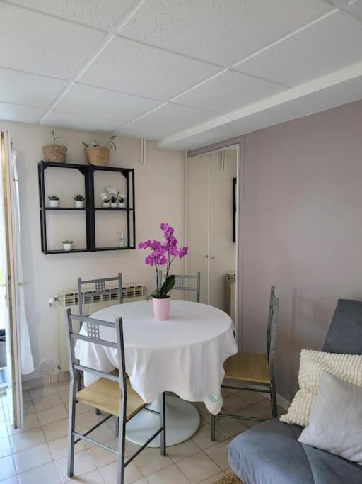 Charmant Appartement 35 M2 Avec Terrasse Et Jardin à Domont