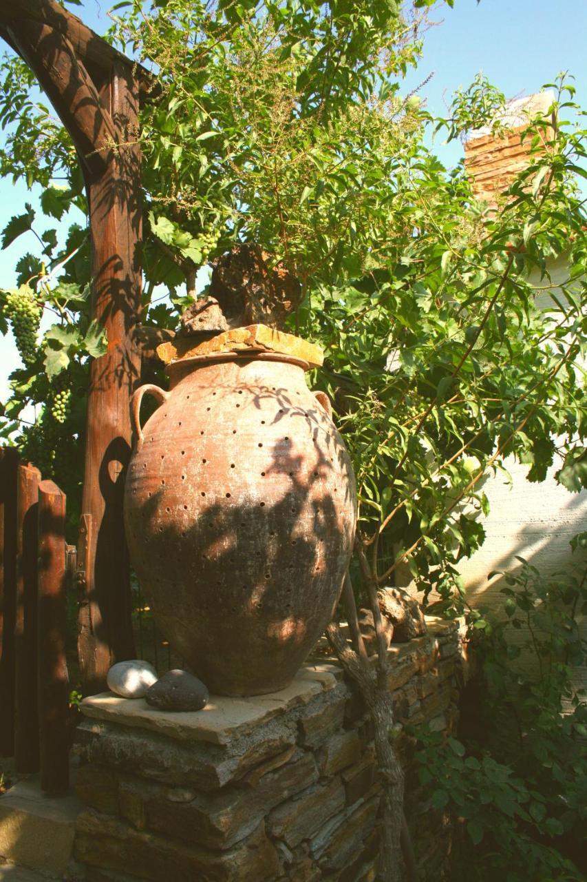 Studios Dimitra 3 *