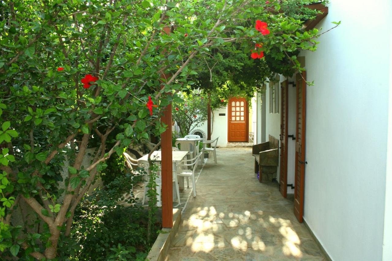 Studios Dimitra 3 *