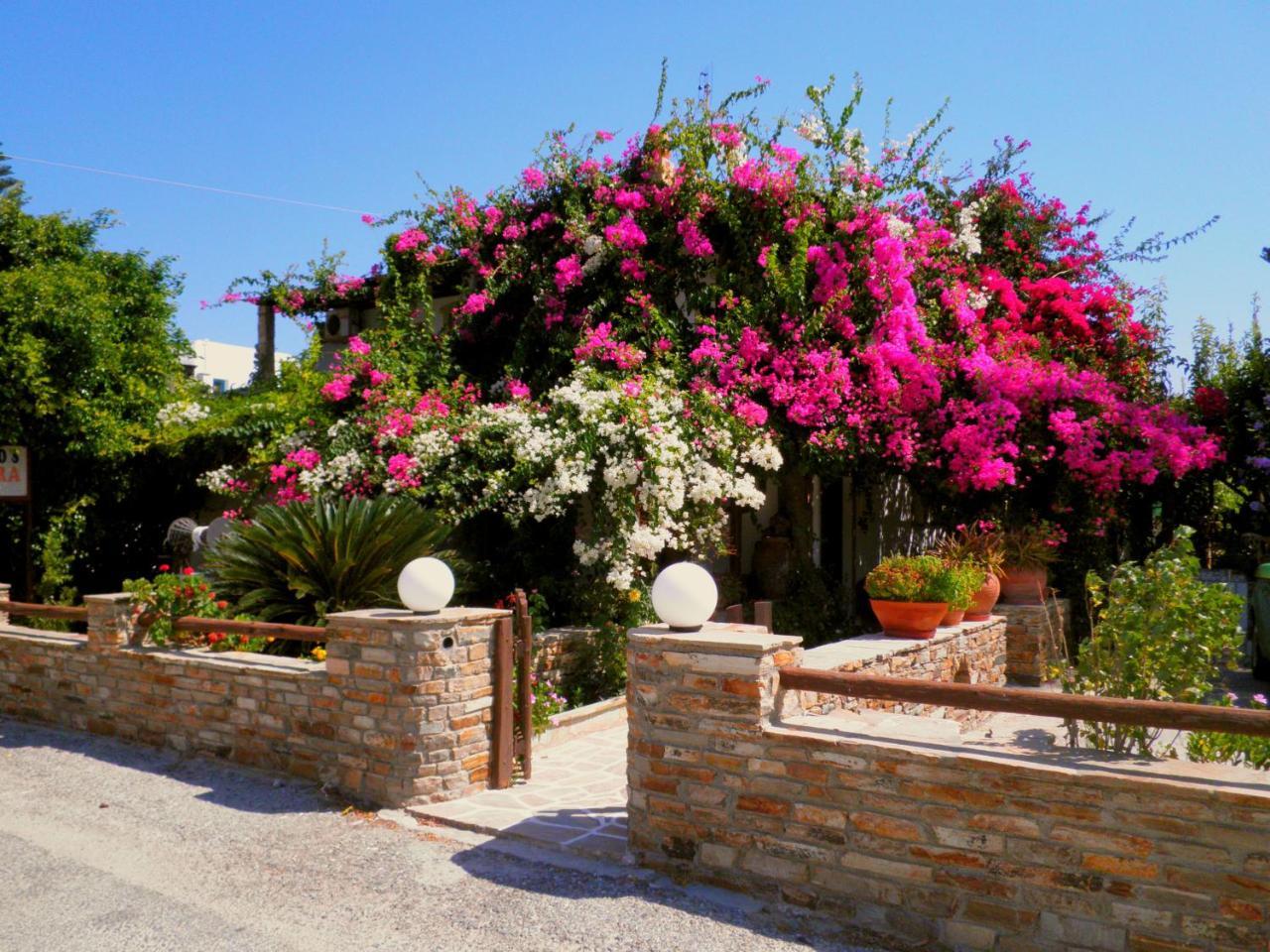 Studios Dimitra 3 *