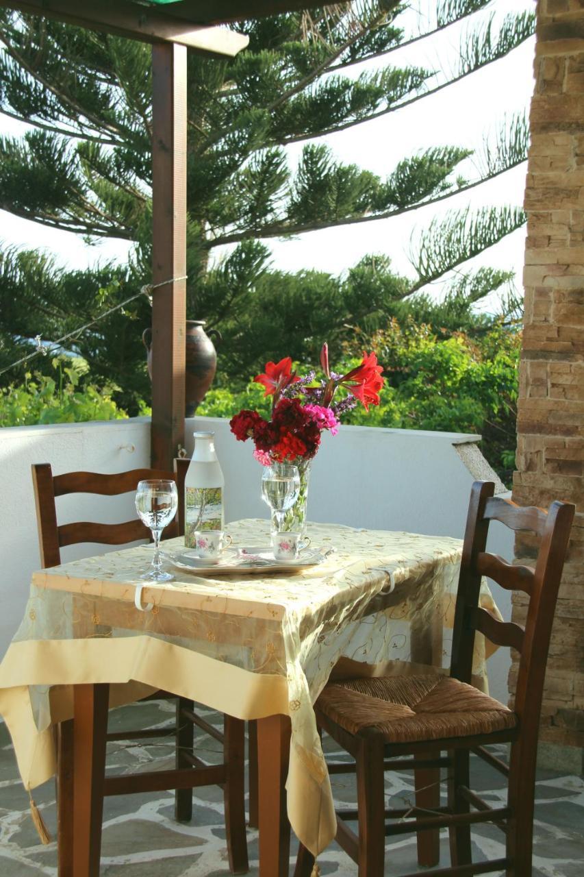 Studios Dimitra 3 *