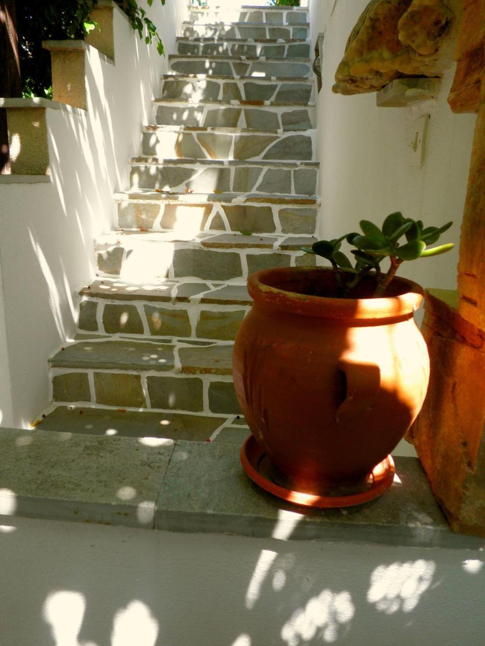 Studios Dimitra 3 *