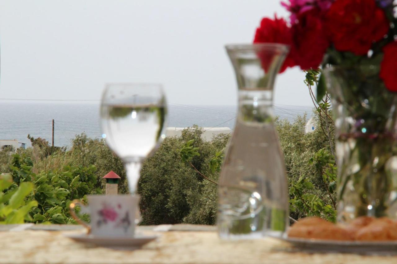 Studios Dimitra 3 *