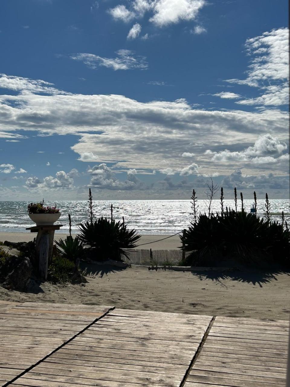 Seaside Two-room Apartment