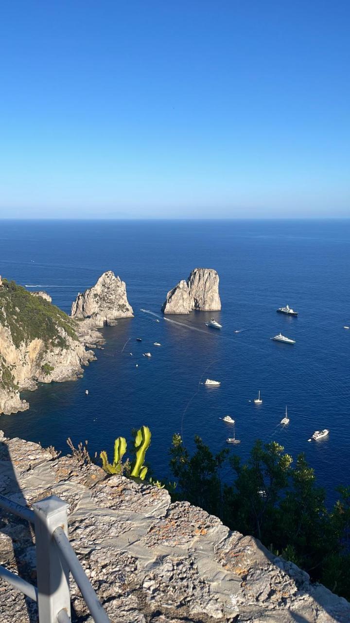 Il Merlo Capri (adults Only)
