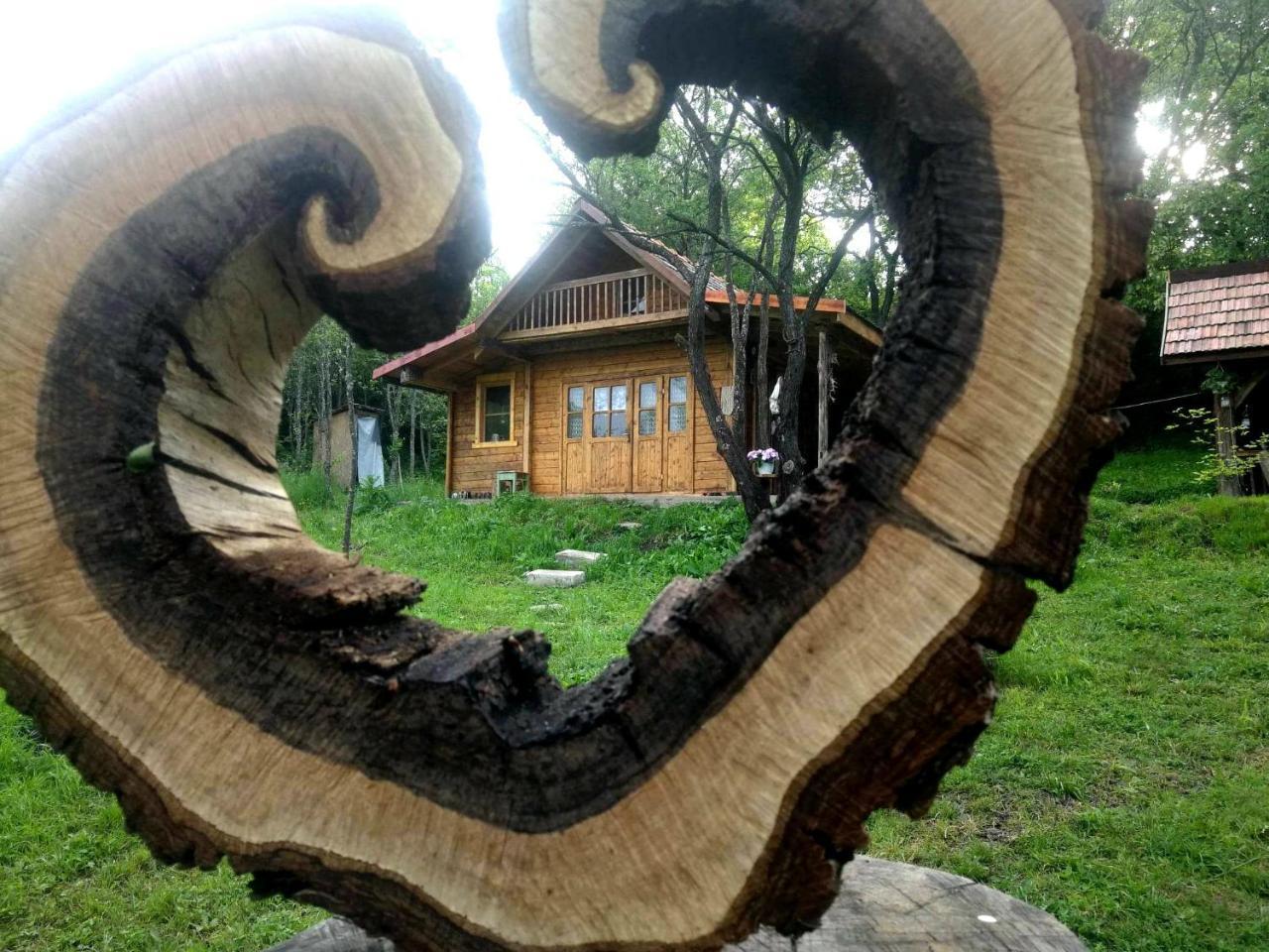 Hidden Garden Kide