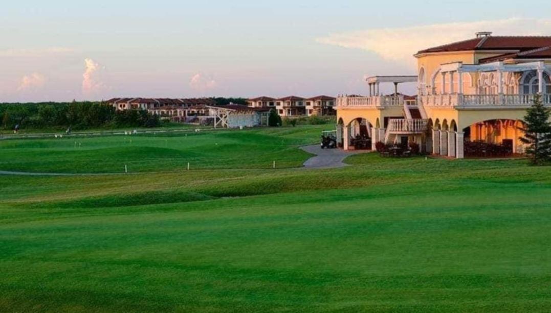 Kyshta Za Gosti Forest 58