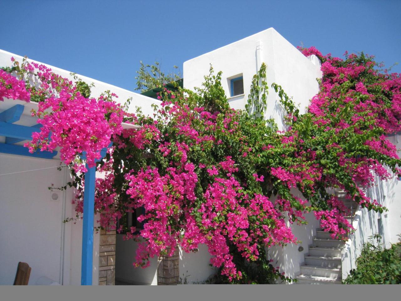 Aggeliki's Diamond  - pic #20