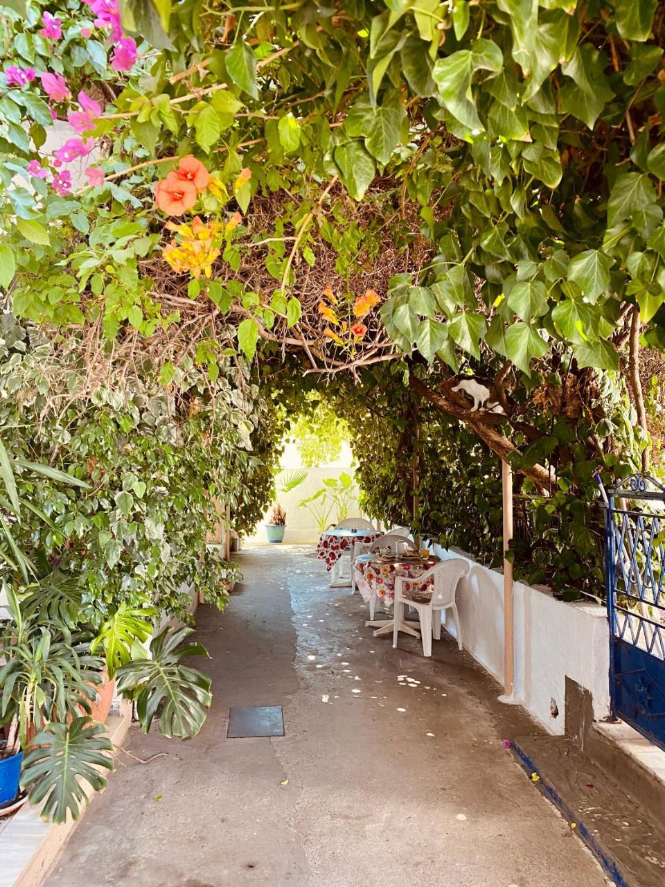 Afroditi Pension 