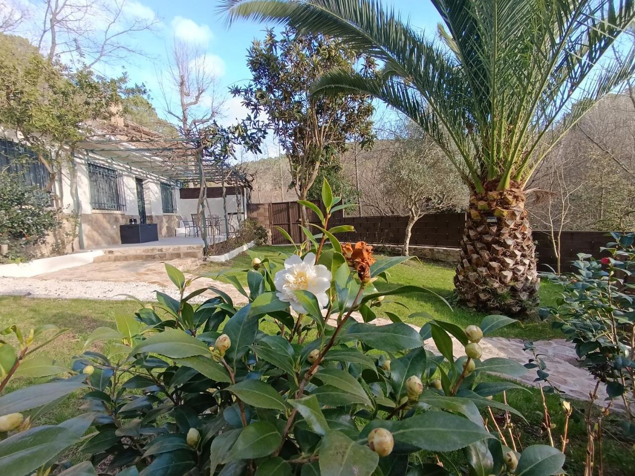 El Castanar de Ceubia em Arenas-de-san-pedro