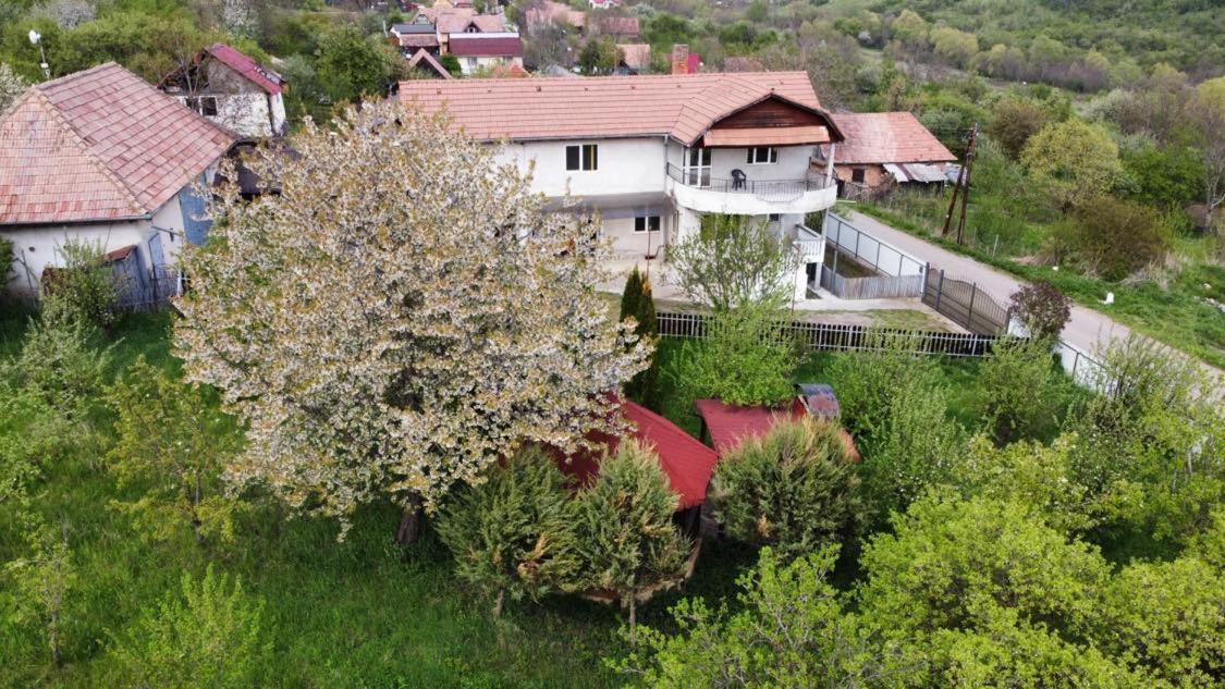 Hillside Villa