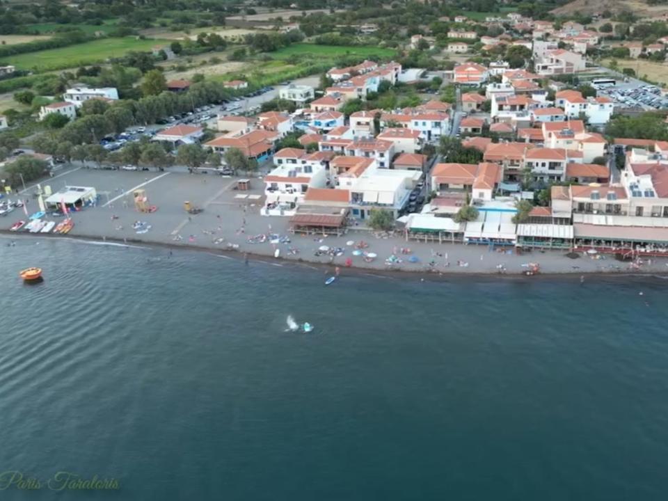 Villa Marilena 2 *