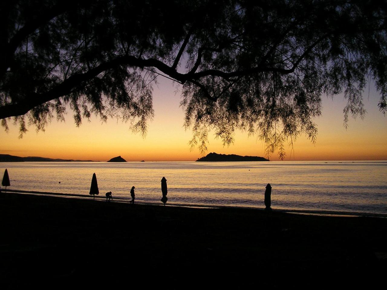 Ilion 2 *