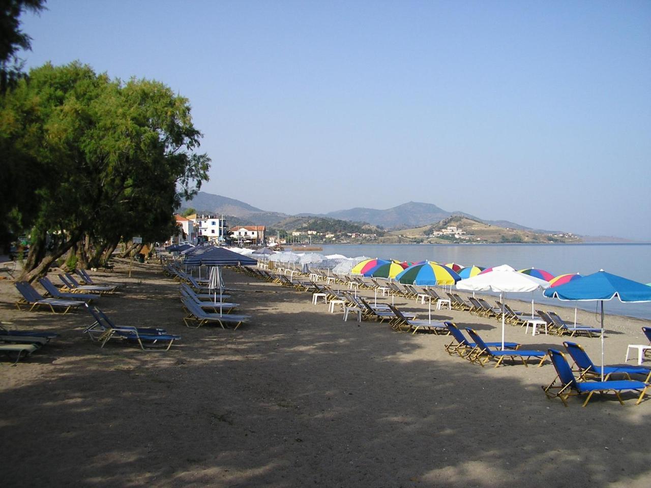 Ilion 2 *