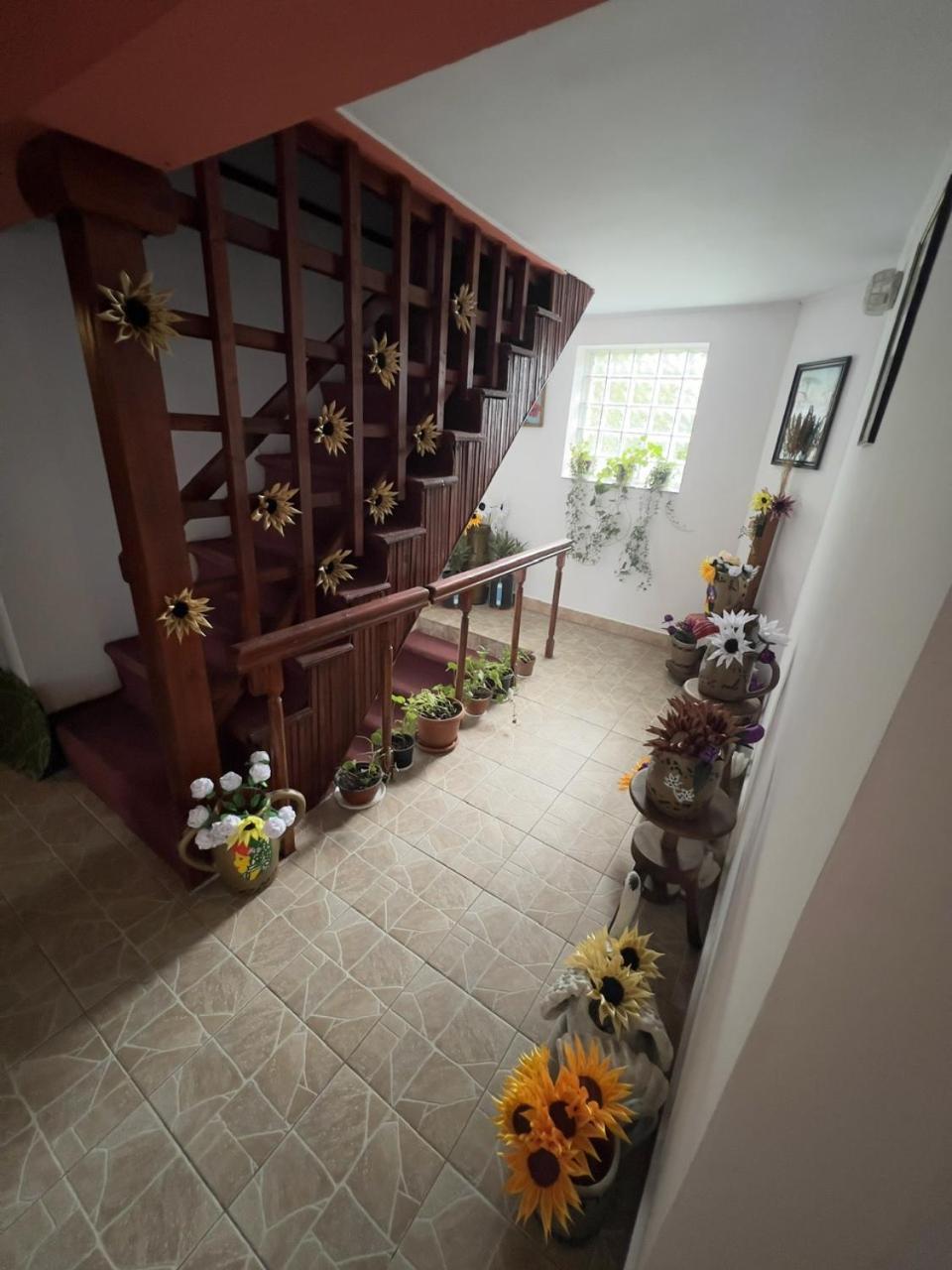 Vila Movila