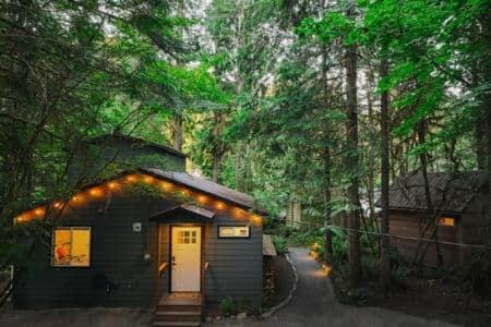 Sauk River Cabins - Hot Tub - Firepit em Darrington
