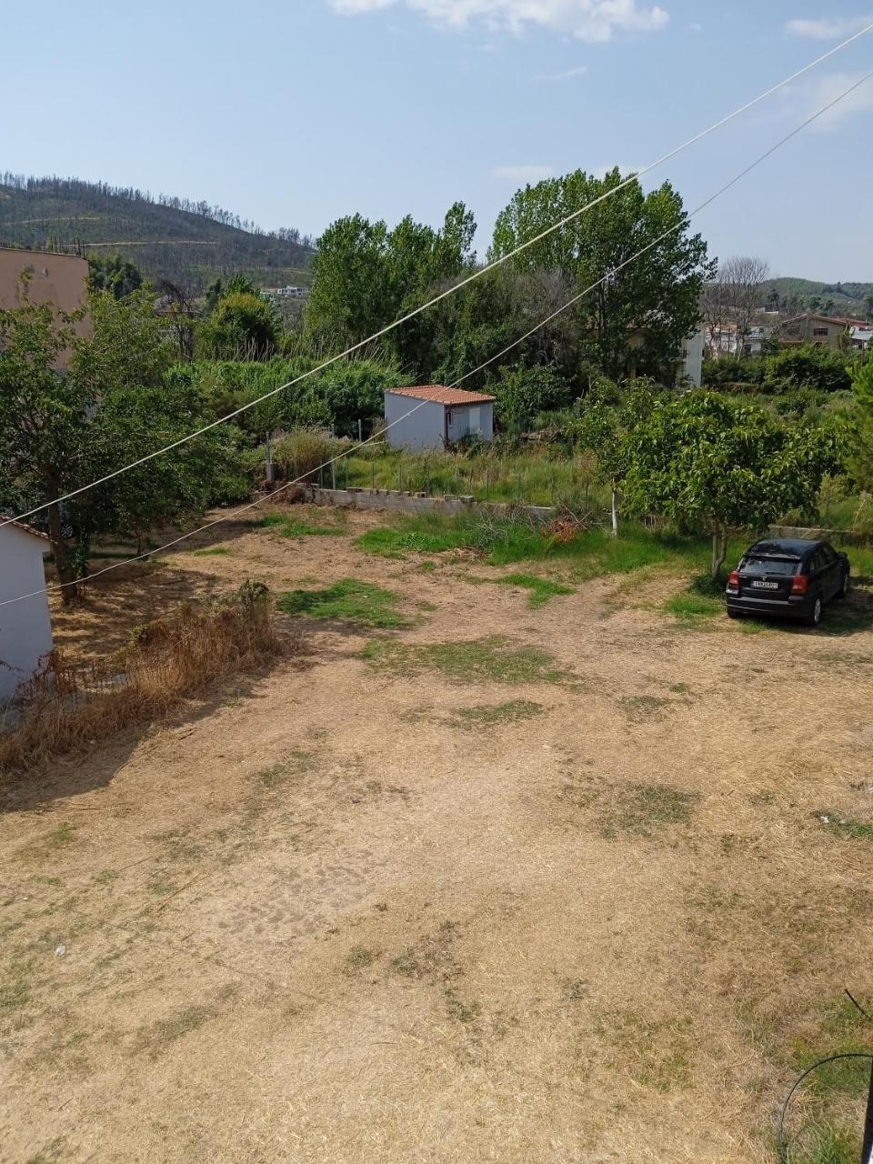 Panagiotis