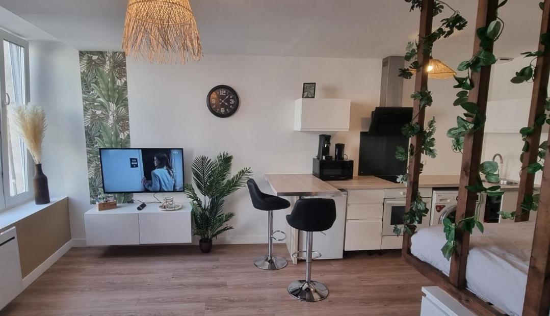 New Jungle Studio Cœur de Ville em Pont-a-mousson