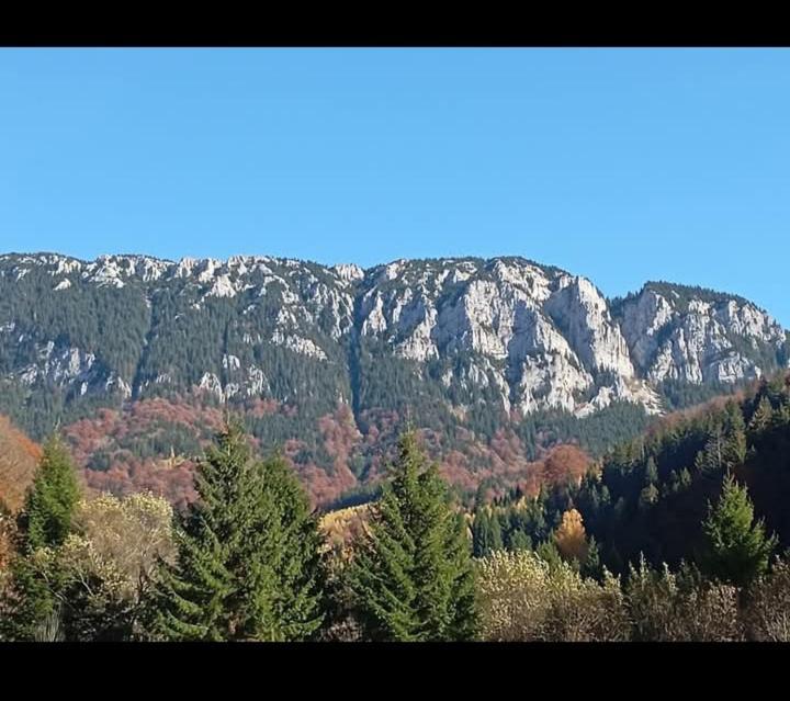Casa Rania Si Ayan Satic Rucar