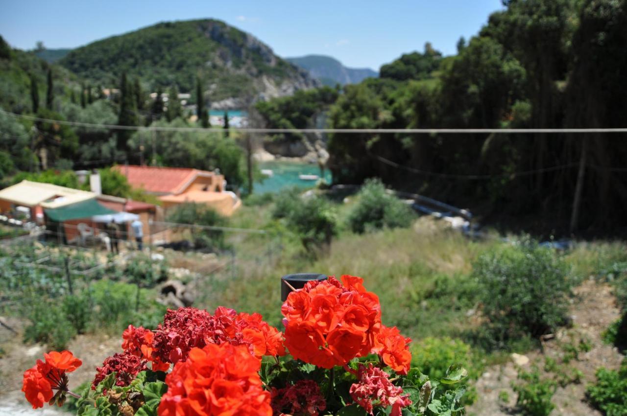 Ponte Rossa Apartments 