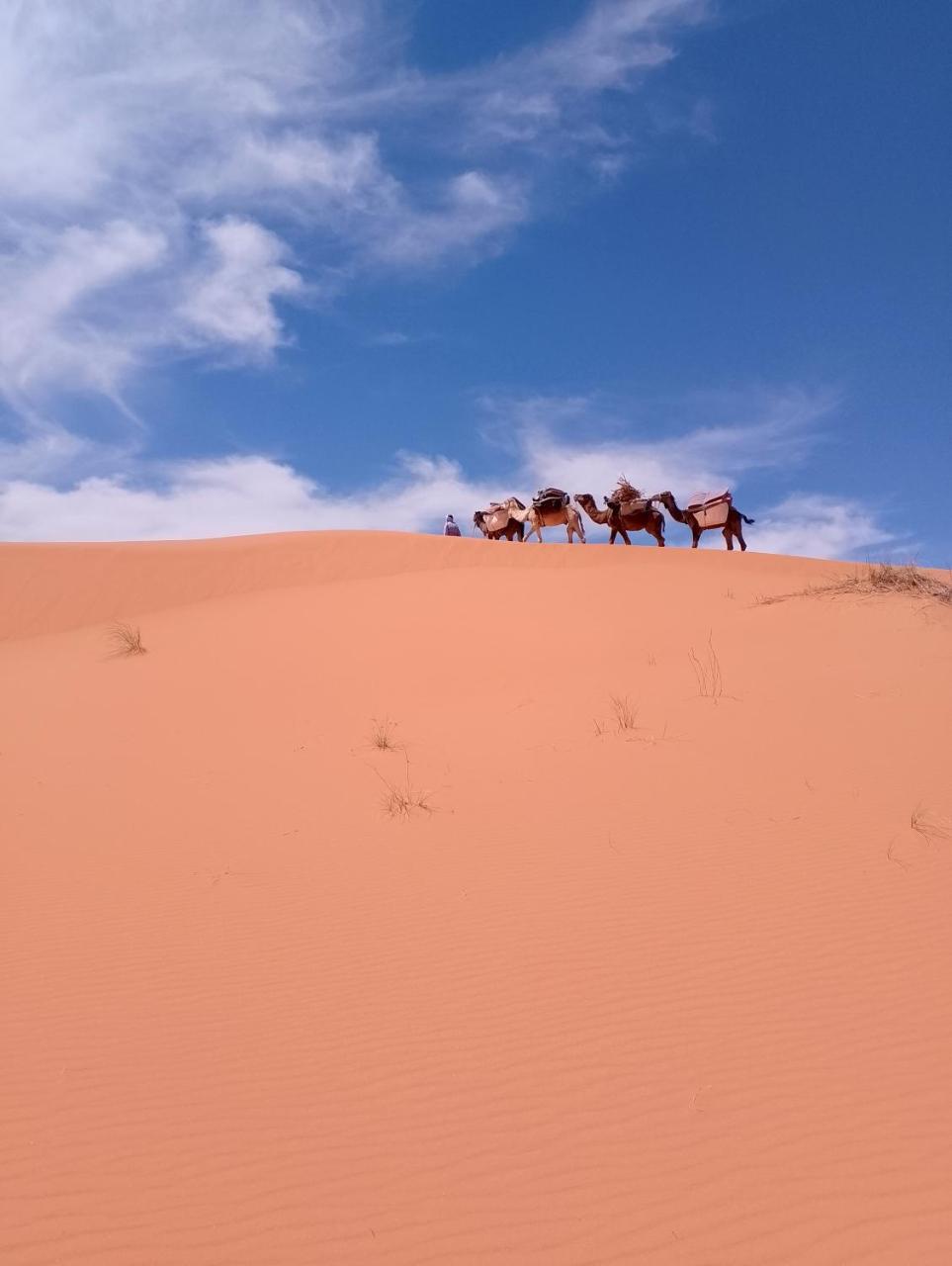 Emosion Desert Trekking à Rissani