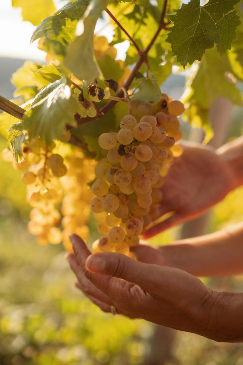 Agriturismo Per Caso em Arcola