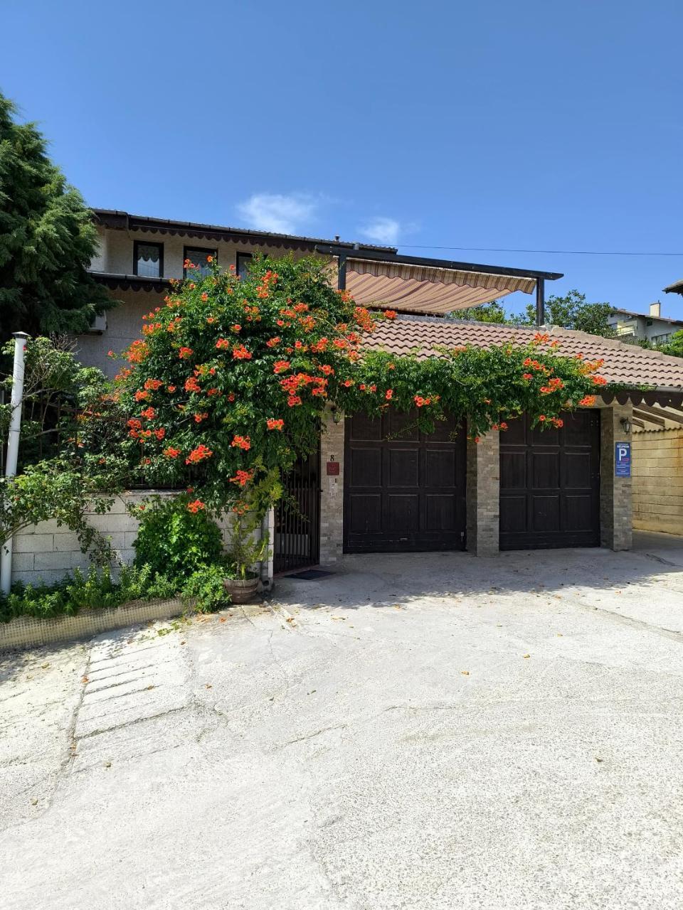 Pansion Delfini Varna