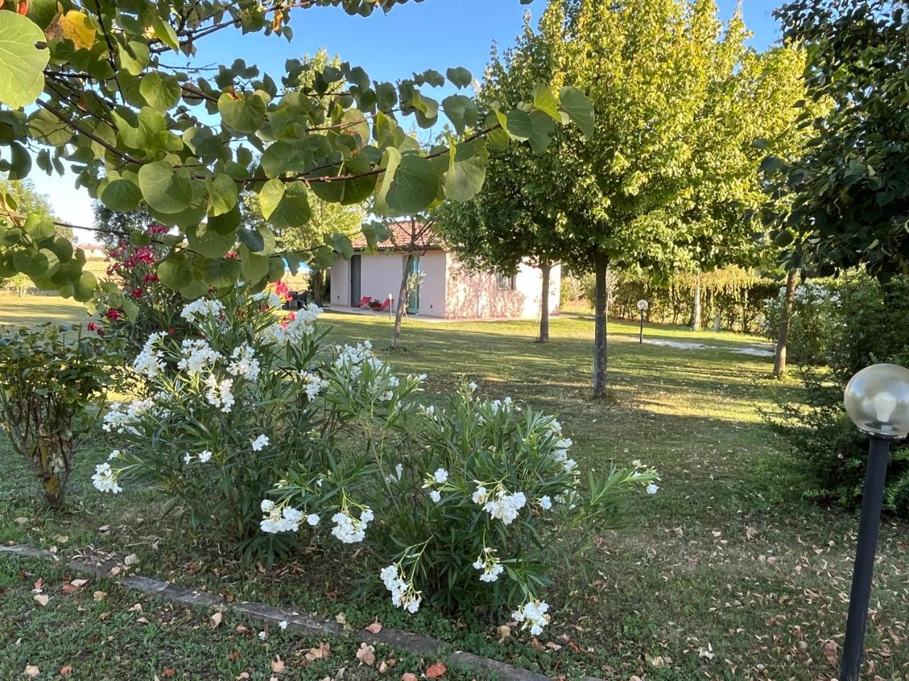 Casa Dora in Gubbio