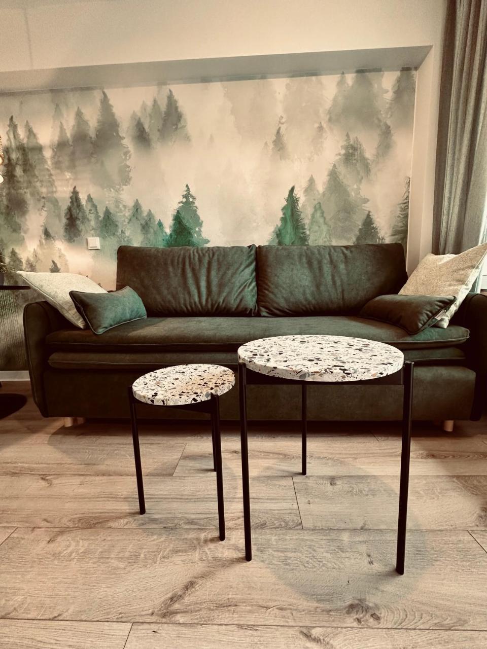 Apartament Zielona Rownica in Ustron